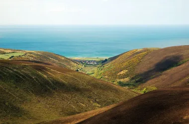 Entre mare et dunes