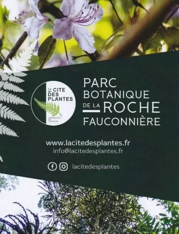 Visite guidée du Parc botanique de la Roche Fauconnière