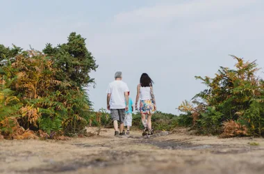 Les Landes