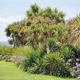 Jardin botanique de Vauville