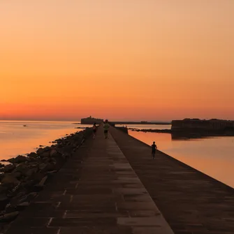 La Rade artificielle de Cherbourg-En-Cotentin