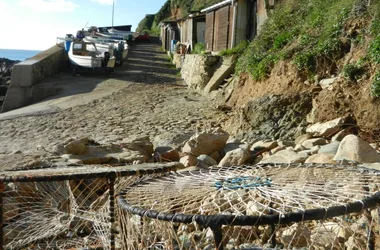 Gîtes de France G305 > Le Cocon d’Ecalgrain