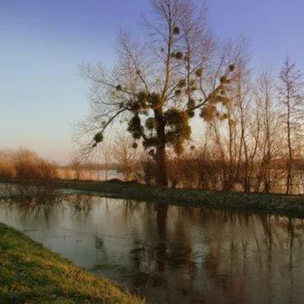 Voie verte – Saint-Sauveur-le-Vicomte – La Haye-du-Puits