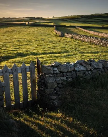 Visite guidée : De la pierre taillée à la pierre bâtie