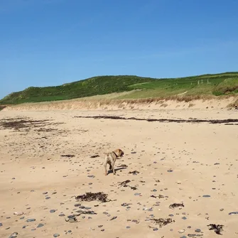 Plage du Platé