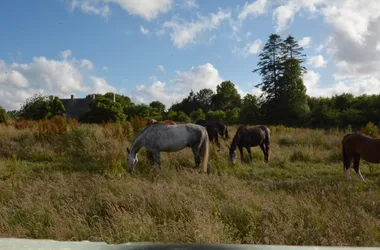 Gîtes de France G513 > La Bergerie