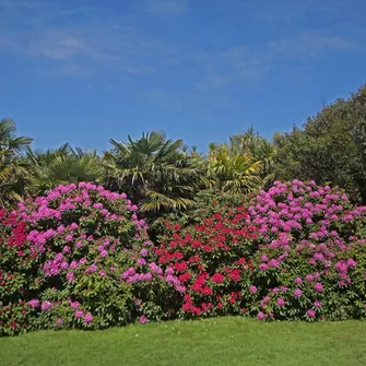 Jardin botanique de Vauville