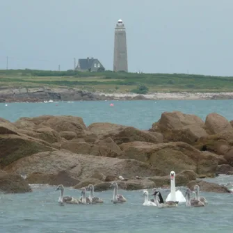 Randonnée en Pays Viking