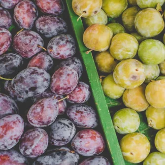 Marché de Cherbourg-en-Cotentin > Place Alfred Rossel