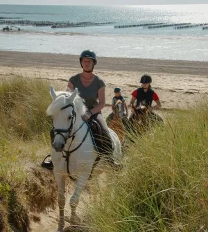 BALADE A CHEVAL A LA PLAGE – MOYENS