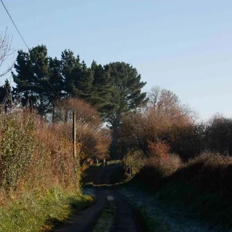 Promenade du CAUE “des arbres conteurs”