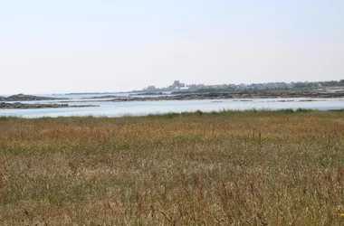 Gîtes de France G313 > La Petite Saline