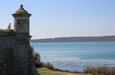 Gîtes de France G640 > La Hougue