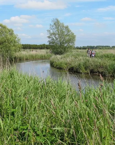 Journées Européennes du Patrimoine > À la découverte des marais des Ponts d’Ouve