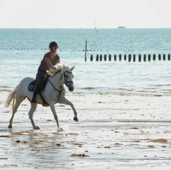 BALADE A CHEVAL A LA PLAGE – CONFIRMÉS