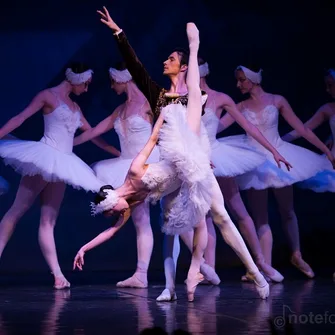 Le Lac des Cygnes par le Grand Ballet de Kiev