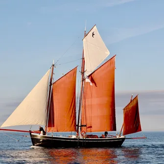 Neire Mâove Goélette du Cotentin