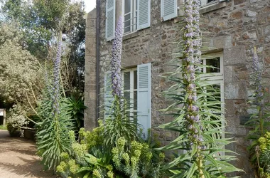 Hôtel Les Maisons de Tatihou