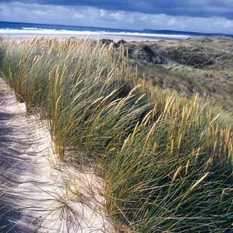 Dunes d’Hatainville