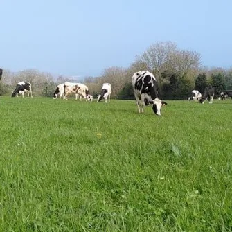 Ferme de la Haule