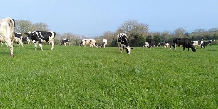 Ferme de la Haule