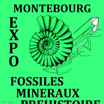 Exposition de minéraux et fossiles