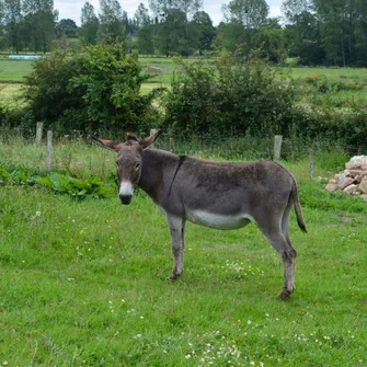 Gués et chemins muletiers