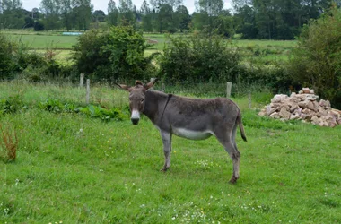 Gués et chemins muletiers