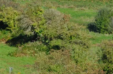 Gîtes de France G677 > Le Moulin Cardin