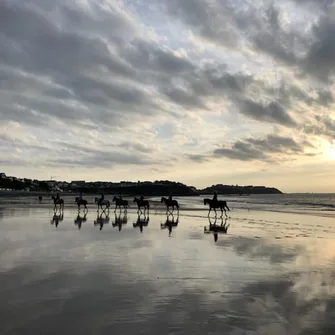 BALADE A CHEVAL A LA PLAGE – DÉBUTANTS