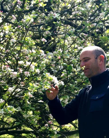 Visite de la cidrerie du Domaine de Rugueville