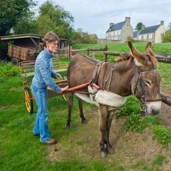 Randonnée avec des ânes > Autour de l’Âne