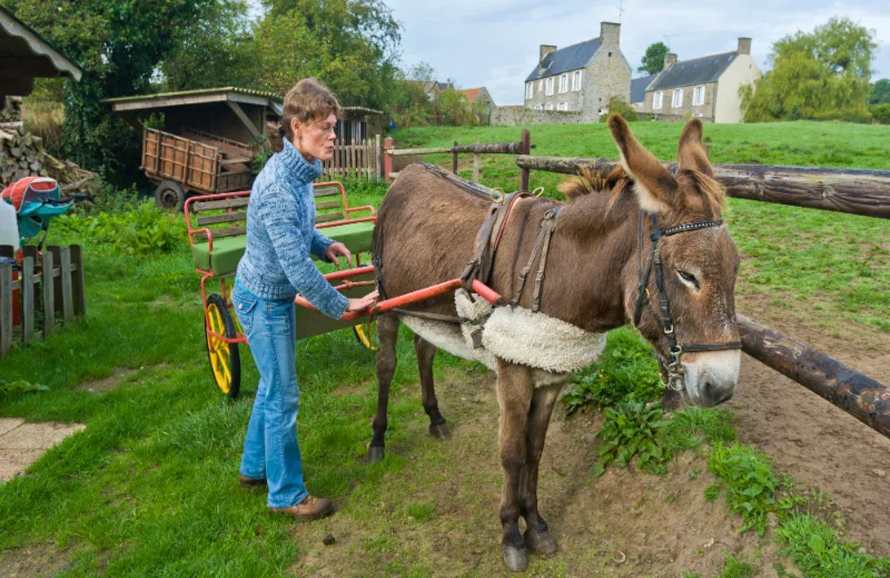 Randonnée avec des ânes > Autour de l’Âne