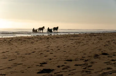 GR®223 – Utah Beach – Sainte-Mère-Eglise