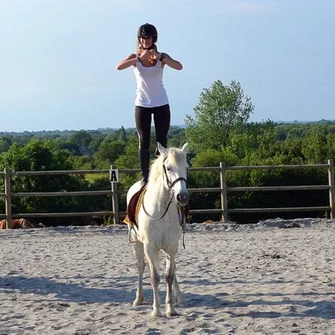 Cours d’équitation > Haras de Sainte Colombe