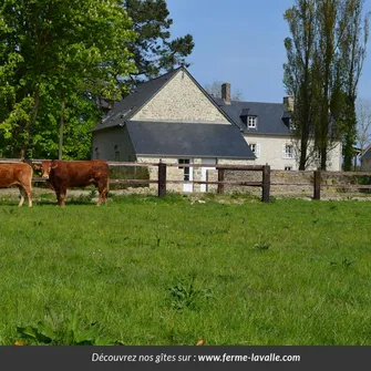 Gîtes de France G772 > L’Amandière