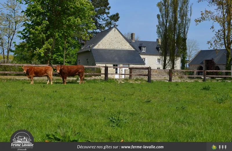 Gîtes de France G772 > L’Amandière