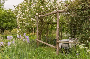 Gîtes de France G858 > Le Jardin du Marais – Les Gunneras