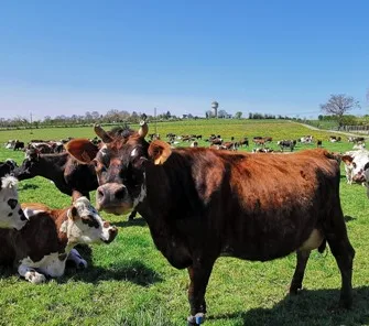 Bon pour une visite Histoire, fabrication & ferme