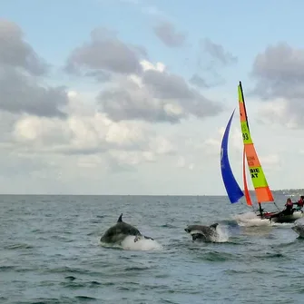 Stage Découverte Catamaran > École du Vent en Côte des Isles