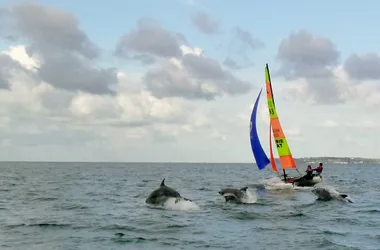 Stage Découverte Catamaran > École du Vent en Côte des Isles