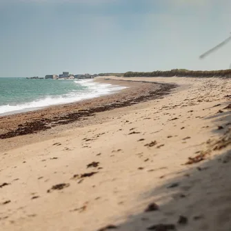 Plage de Néville