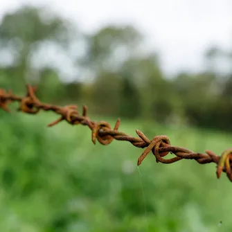 Exposition > Guerre et prés. Le réemploi du matériel dans le paysage manchois