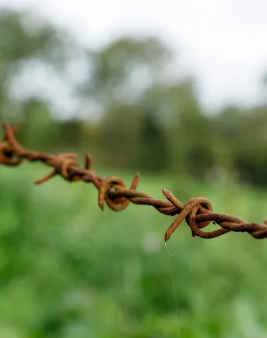 Exposition > Guerre et prés. Le réemploi du matériel dans le paysage manchois