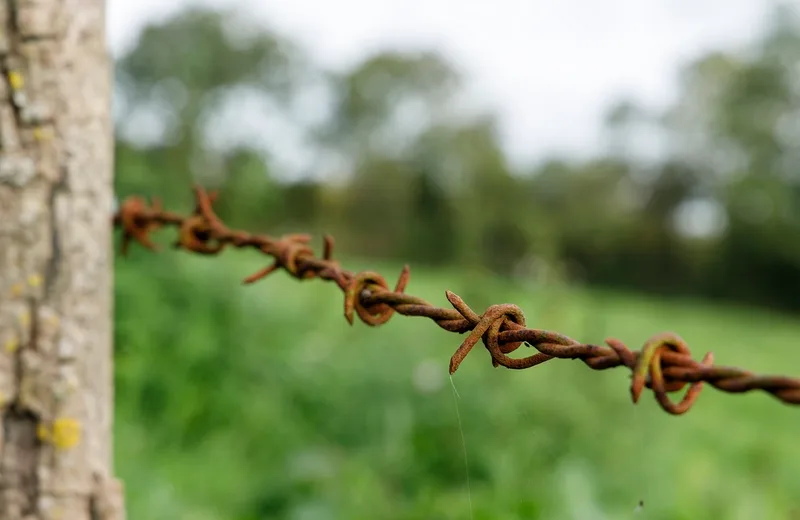 Exposition > Guerre et prés. Le réemploi du matériel dans le paysage manchois