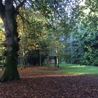 La Forêt Domaniale de Saint-Sauveur-le-Vicomte