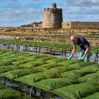 Les Jardins Ostréicoles de Tatihou