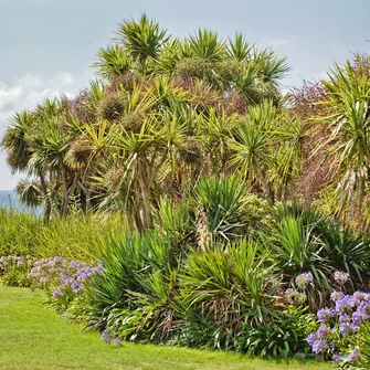 Visite libre du jardin botanique de Vauville