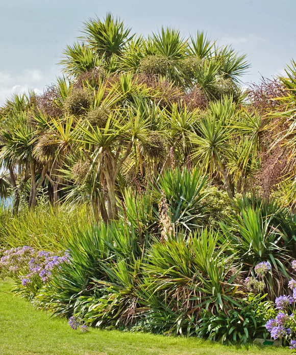 Visite libre du jardin botanique de Vauville