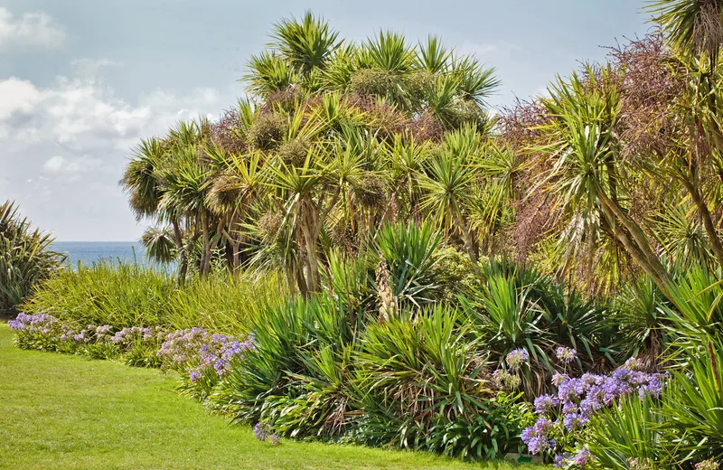 Visite libre du jardin botanique de Vauville